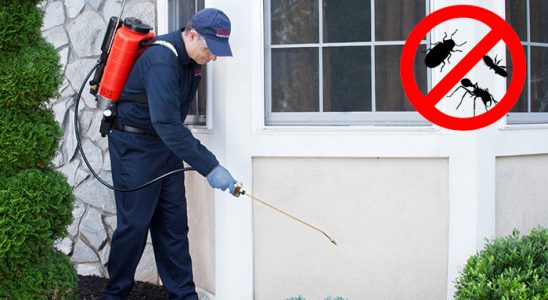 Akçakale Böcek İlaçlama böcek ilaçlama ve haşere kontrolü — ilaclama-tr.com